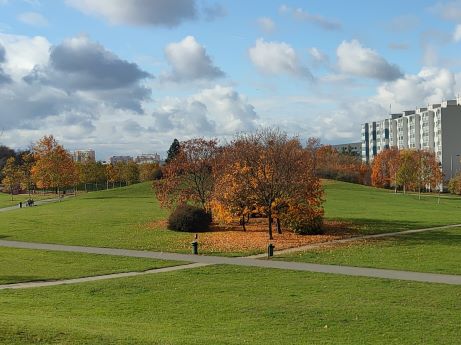 Centrální park